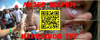 крисы Моздок
