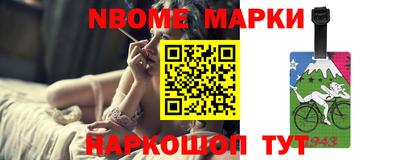 крисы Моздок