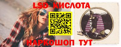 крисы Моздок