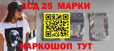 крисы Моздок