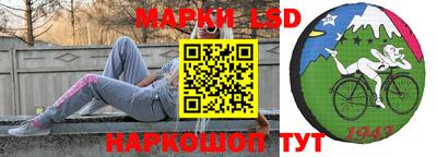 крисы Моздок