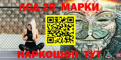 крисы Моздок