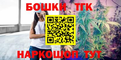 крисы Моздок