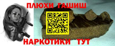 крисы Моздок