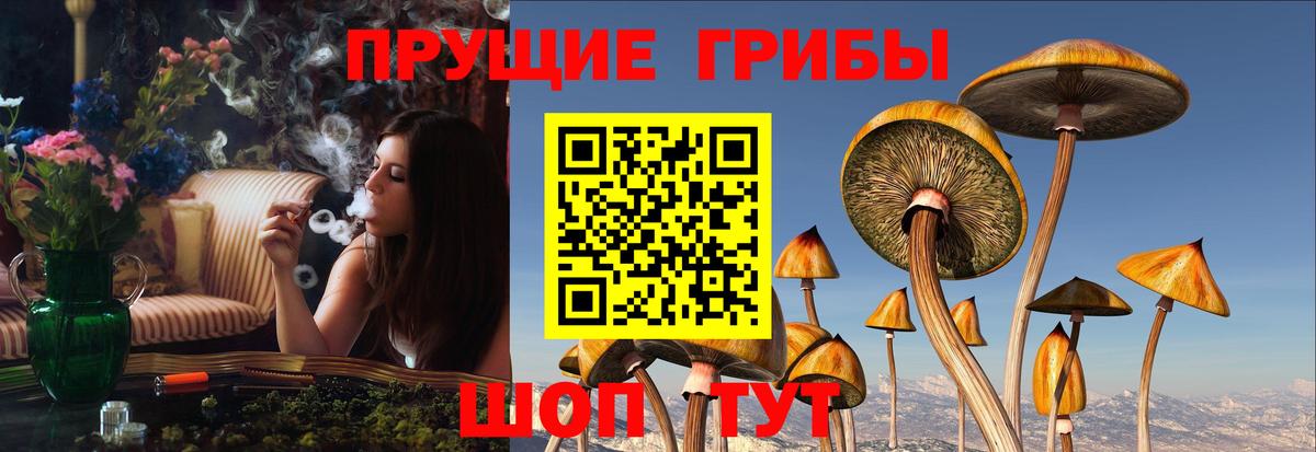 Псилоцибиновые грибы ЛСД Симферополь